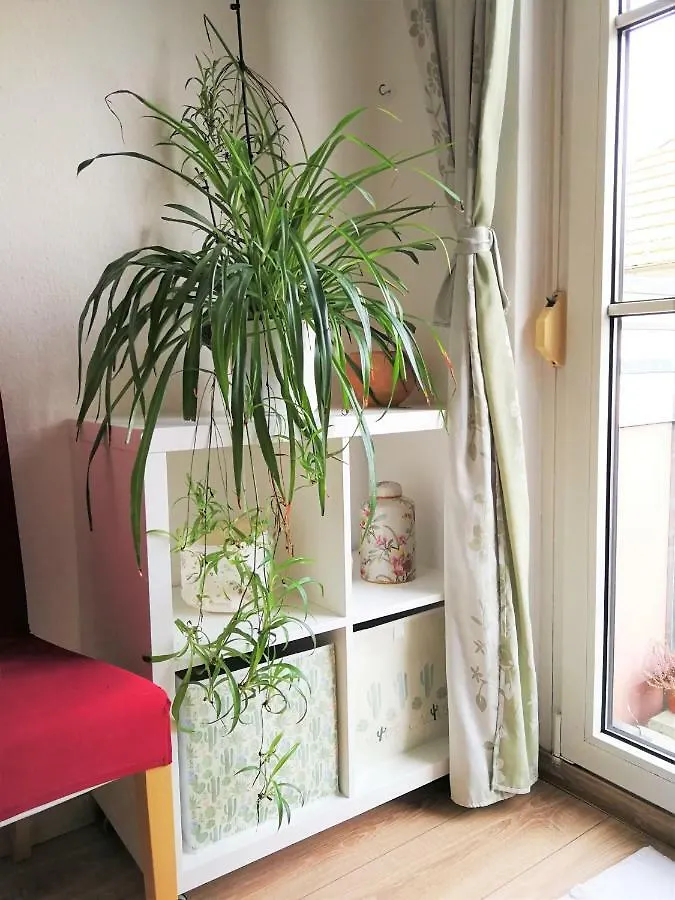Quiet City-Apt, 4Min City-Center, 18Min Fair Nuernberg!!!